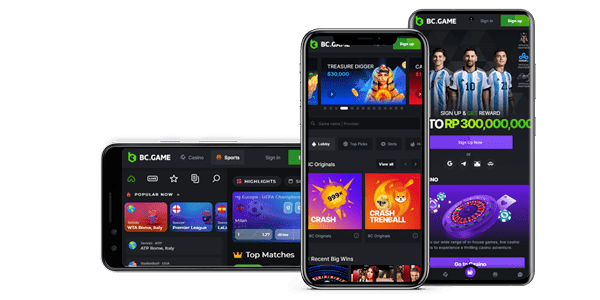 BC Game Online Casino A New Era in Online Gambling